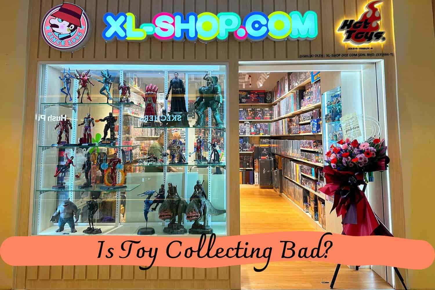 Is Toy Collecting Bad?
