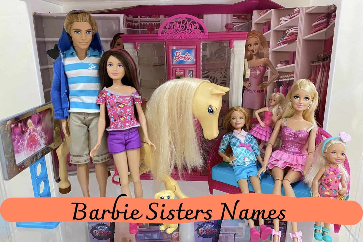Barbie Sisters Names
