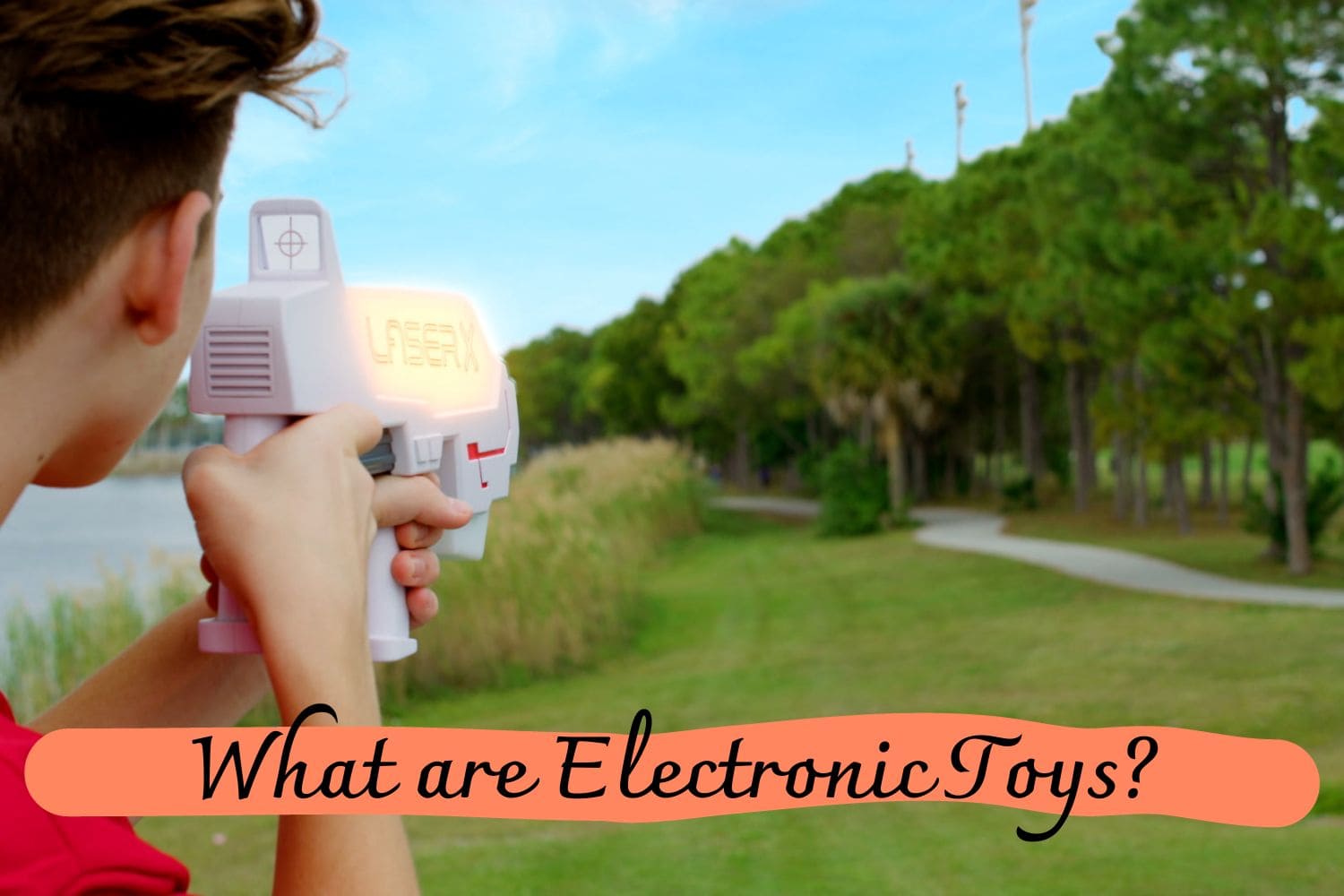 What are Electronic Toys