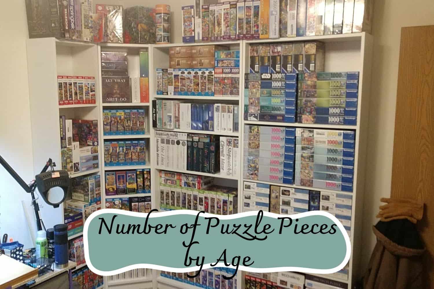 Number of Puzzle Pieces by Age
