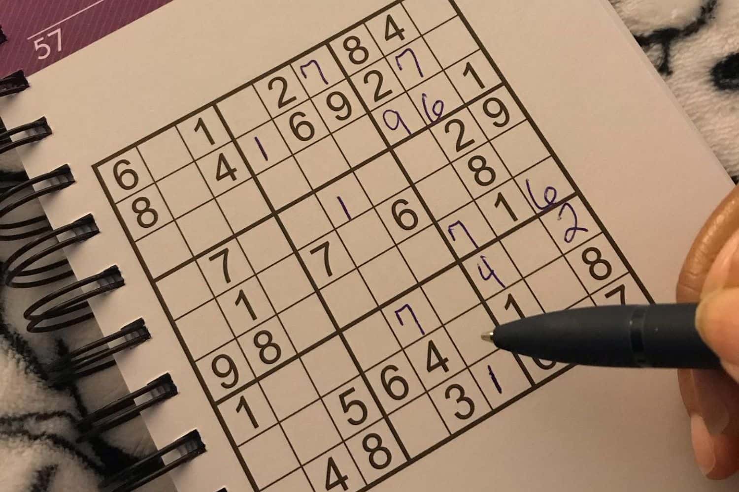 Strategies for Success in Sudoku