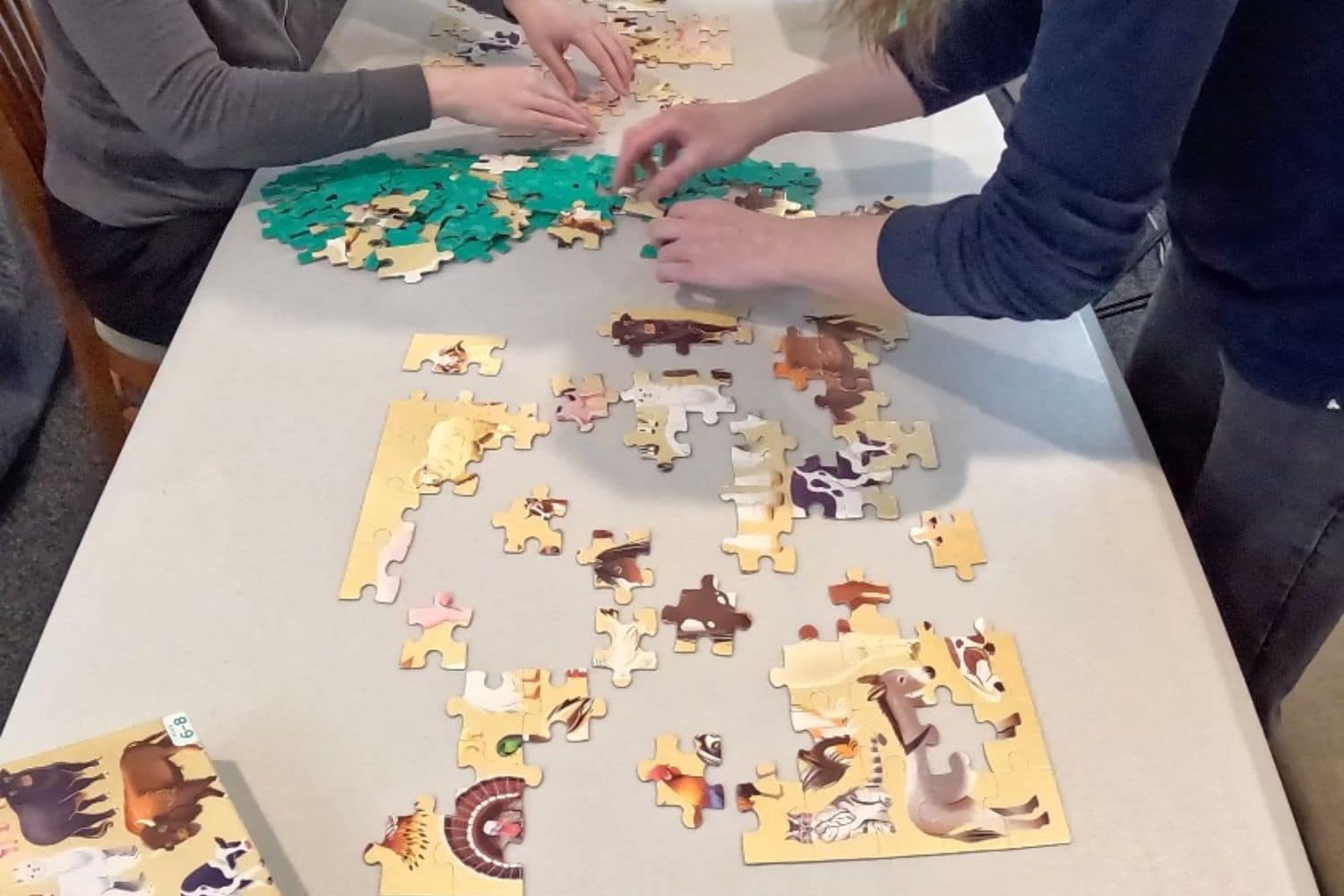What Causes Missing Pieces in Puzzles? 